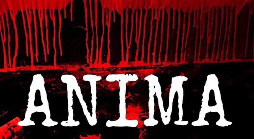 перформанс Anima в Мытищах фото 0
